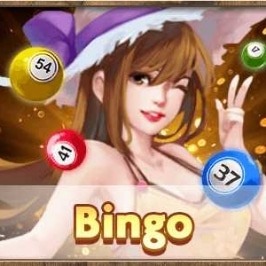 bingoGameRich3